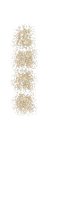 店舗情報