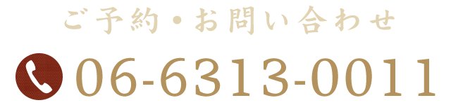 TEL 06-6313-0011
